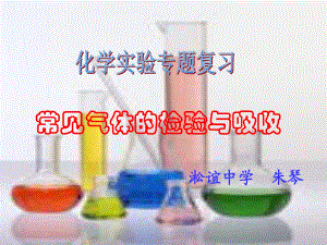 化学实验专题复习-常见气体的检验和吸收