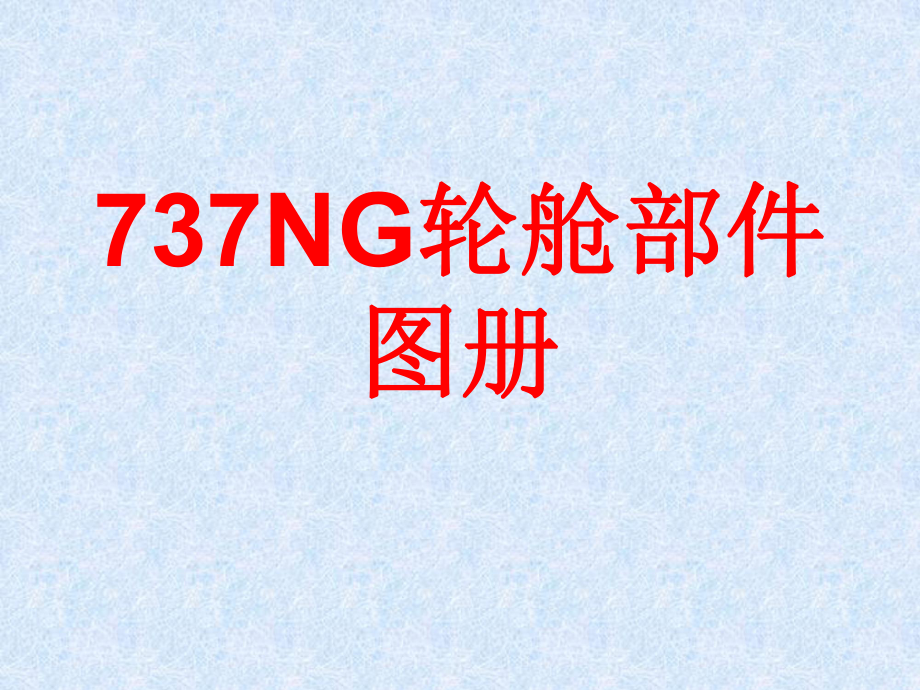 737NG輪艙部件圖解_第1頁