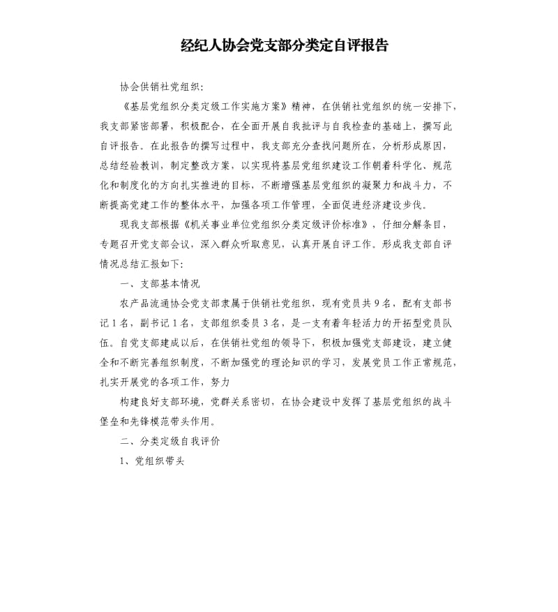 经纪人协会党支部分类定自评报告.docx_第1页