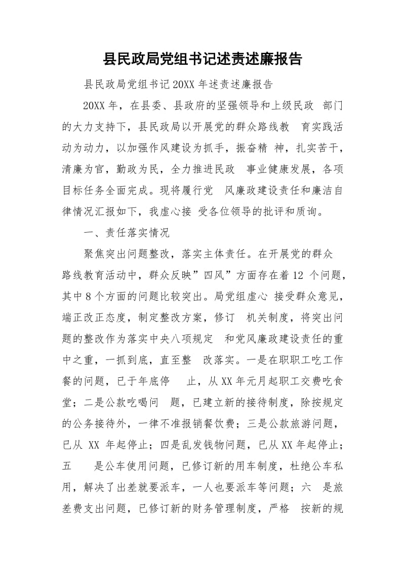 县民政局党组书记述责述廉报告_第1页