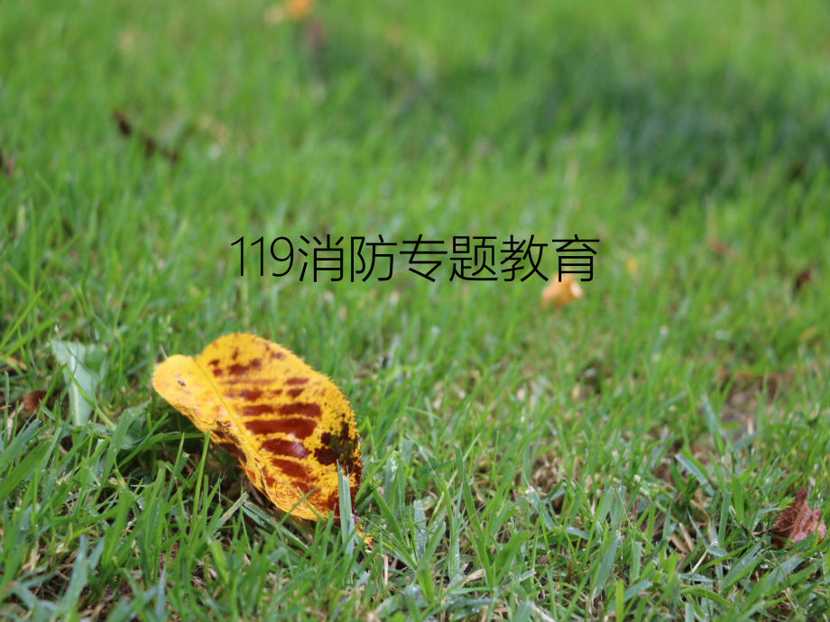 119消防专题教育_第1页