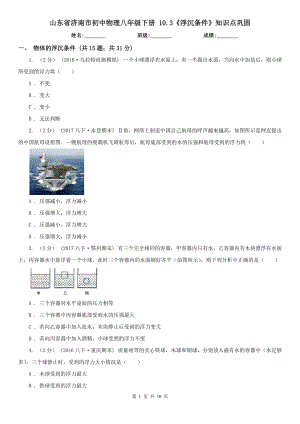 山东省济南市初中物理八年级下册 10.3《浮沉条件》知识点巩固