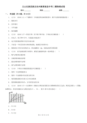 文山壯族苗族自治州麻栗坡縣中考二模物理試卷