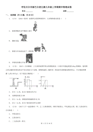 呼倫貝爾市新巴爾虎左旗九年級上學(xué)期期中物理試卷