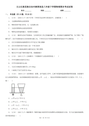 文山壯族苗族自治州麻栗坡縣八年級下學(xué)期物理期末考試試卷