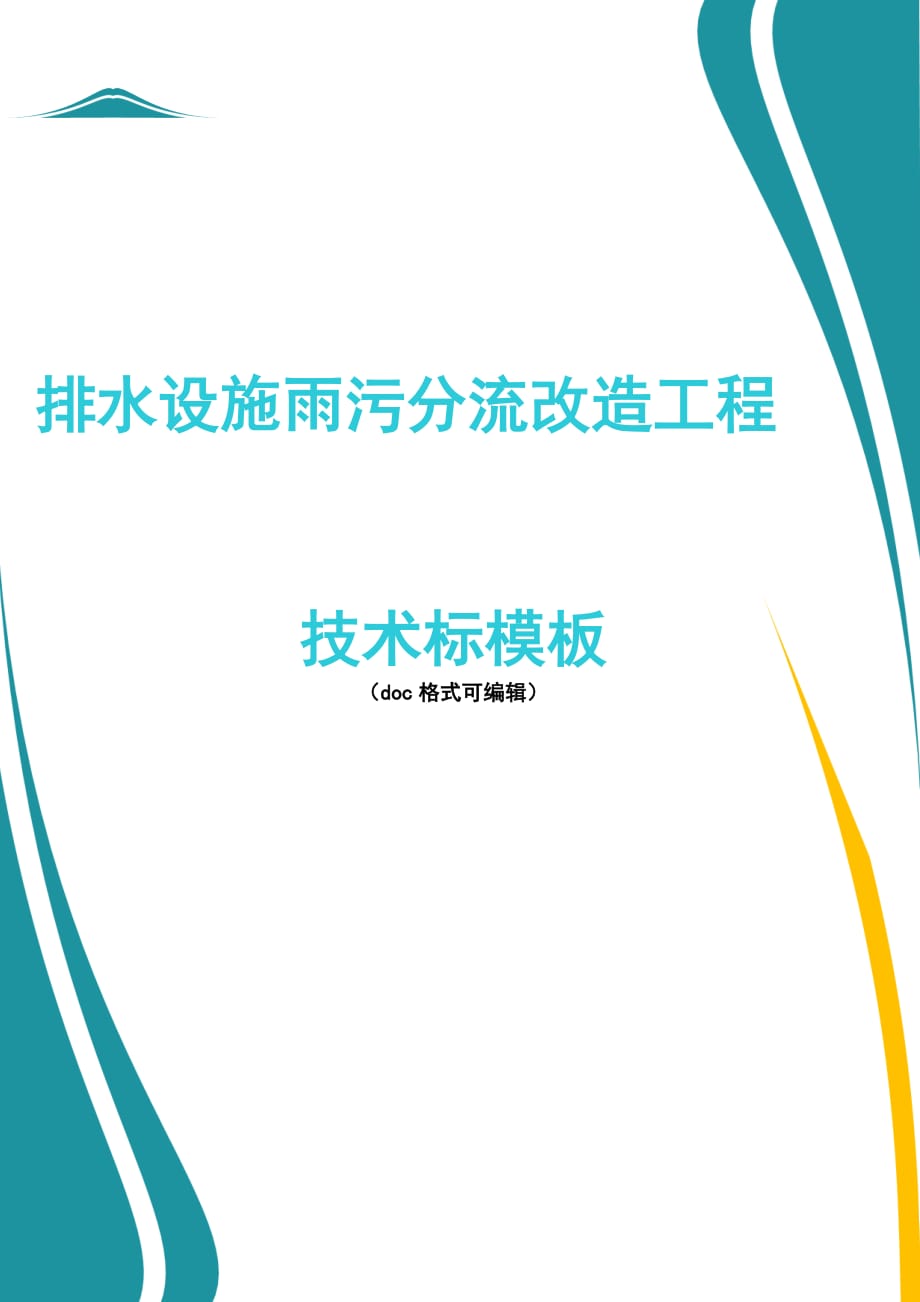 排水设施雨污分流工程技术标_第1页