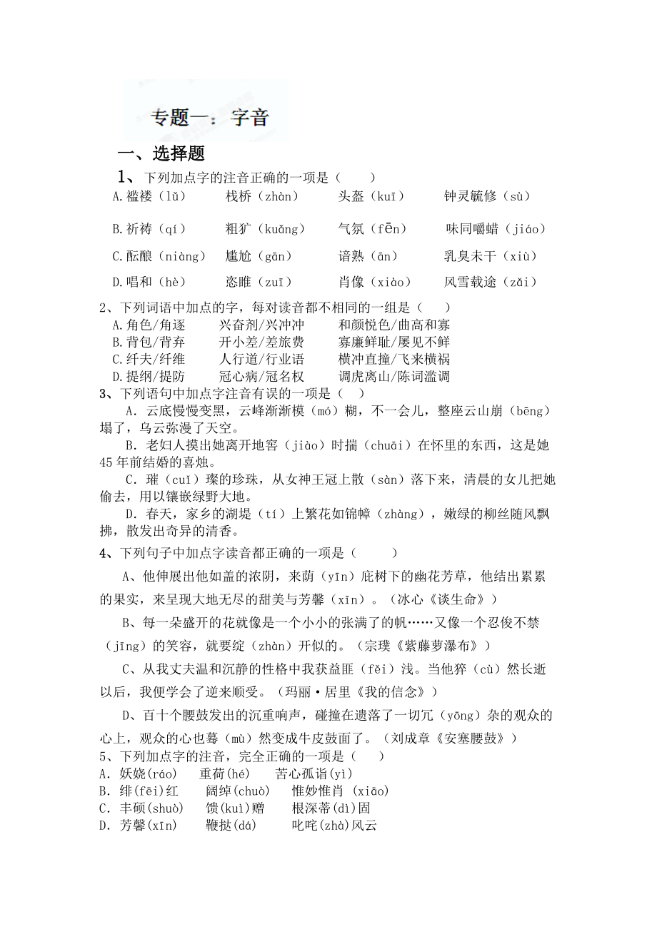 中考语文专题训练：字音字形【含答案解析】_第1页