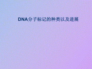 DNA分子标记的种类