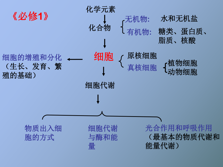 复习第三章细胞代谢_第1页