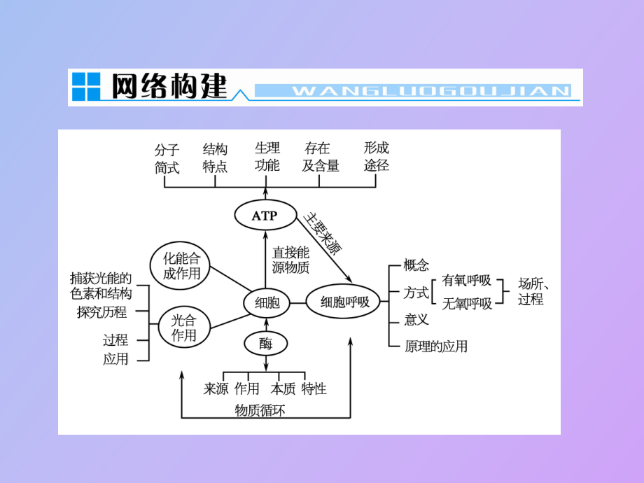 细胞代谢与酶_第1页