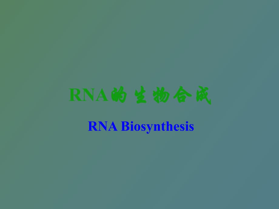 RNA的生物合成 轉(zhuǎn)錄_第1頁