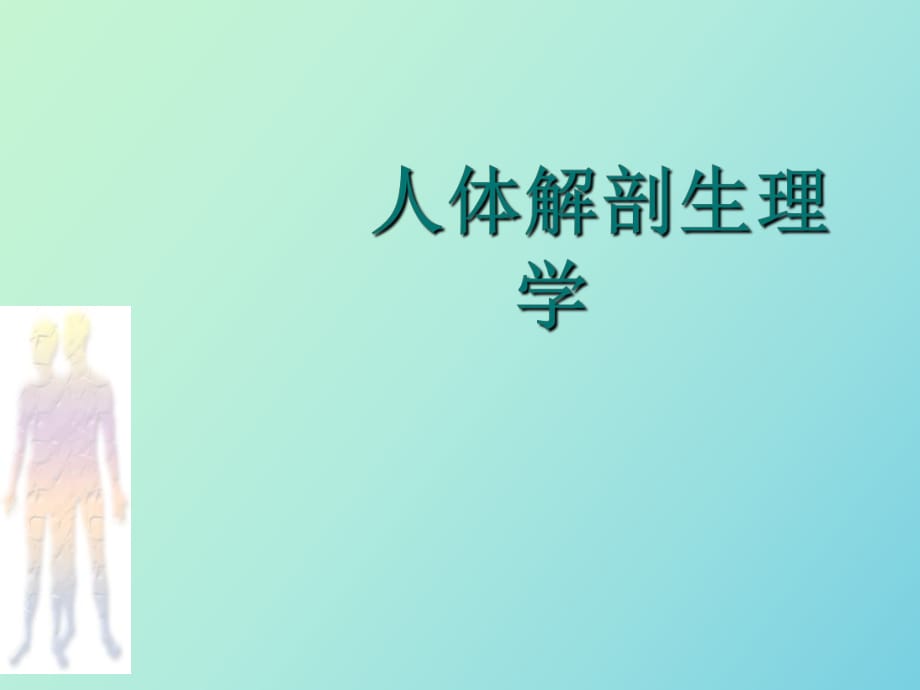 人體解剖學(xué)基礎(chǔ)_第1頁