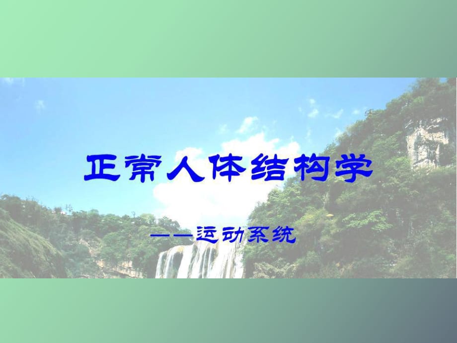 運動系統(tǒng)-人體解剖學_第1頁