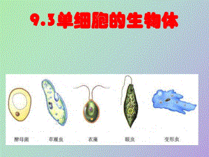 單細(xì)胞生物體