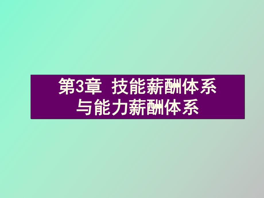 技能薪酬體系與能力薪酬體系_第1頁