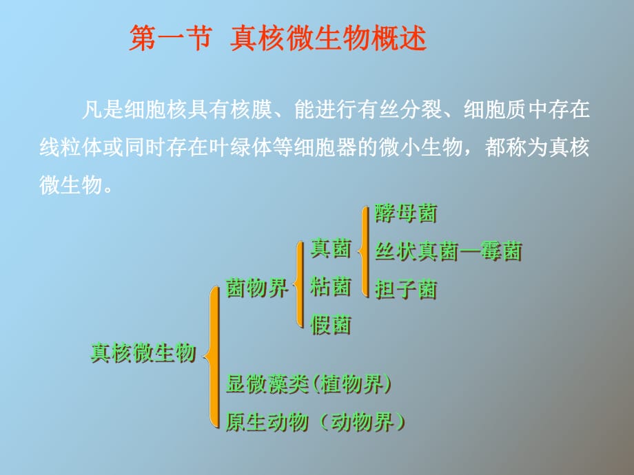 真核微生物概述_第1页