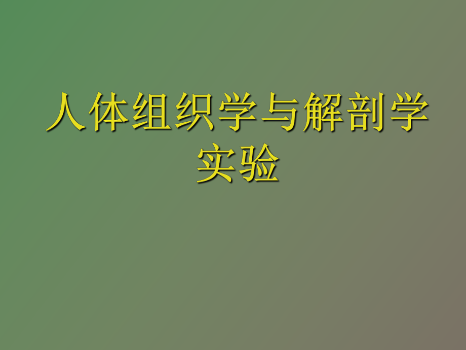 神經組織實驗_第1頁