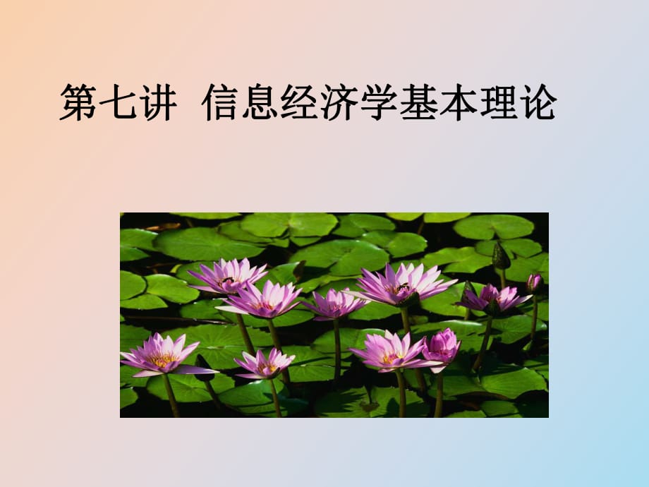 信息經(jīng)濟(jì)學(xué)理論_第1頁(yè)