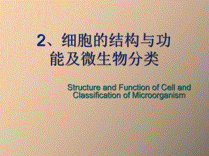 细胞的结构与功能