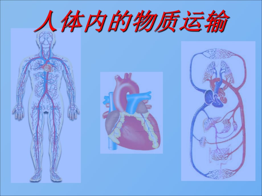 《人體內的物質運輸》復習王濤總結_第1頁