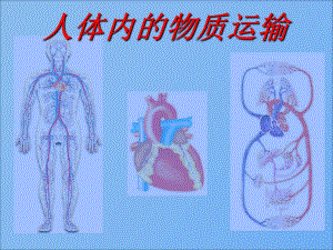 《人體內(nèi)的物質(zhì)運輸》復習王濤總結(jié)