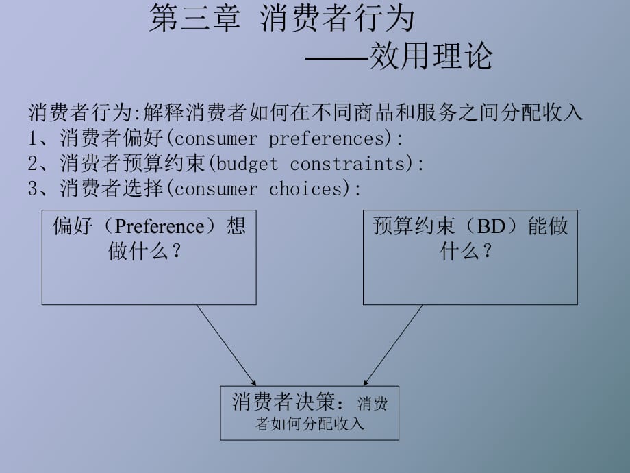 消费者行为理论-效用理论_第1页