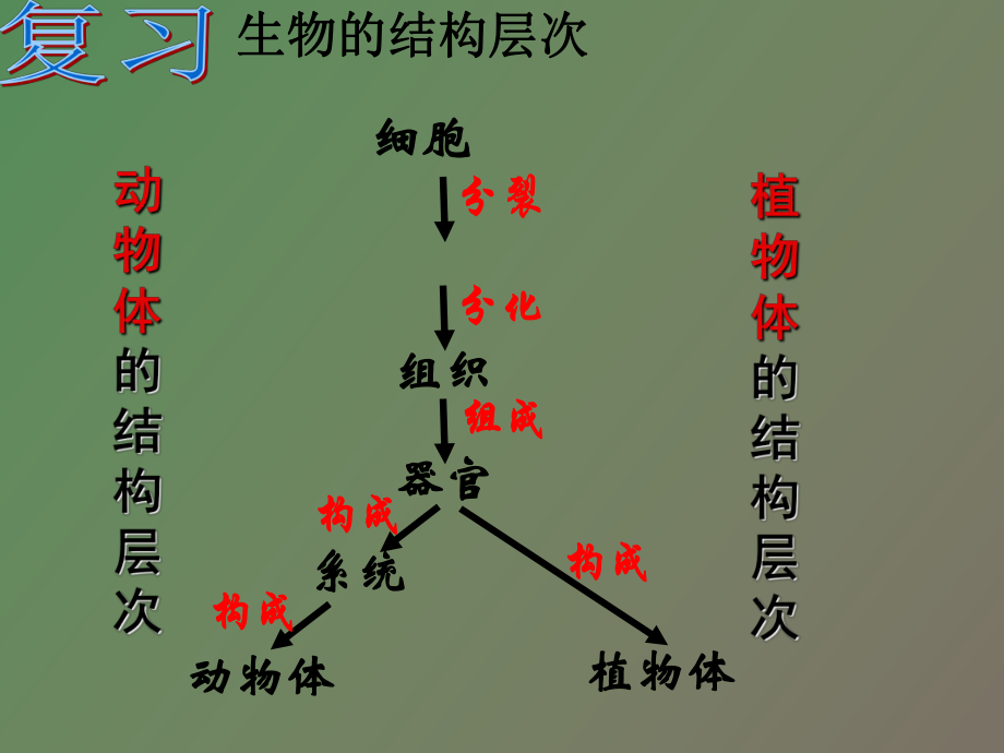 單細胞的生物體_第1頁