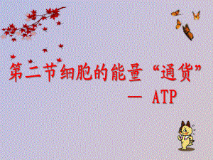 《細(xì)胞的能量“通貨”──ATP》完成