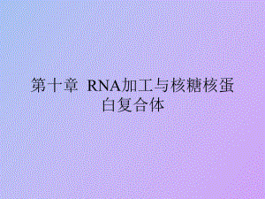 RNA加工与核糖核蛋白复合体