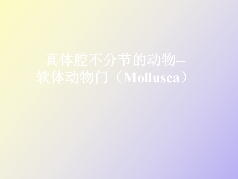 真体腔不分节的动物软体动物门Mollusca_第1页