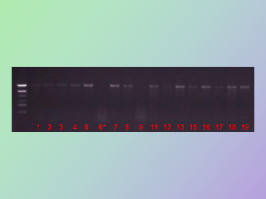 连接产物的转化_第1页