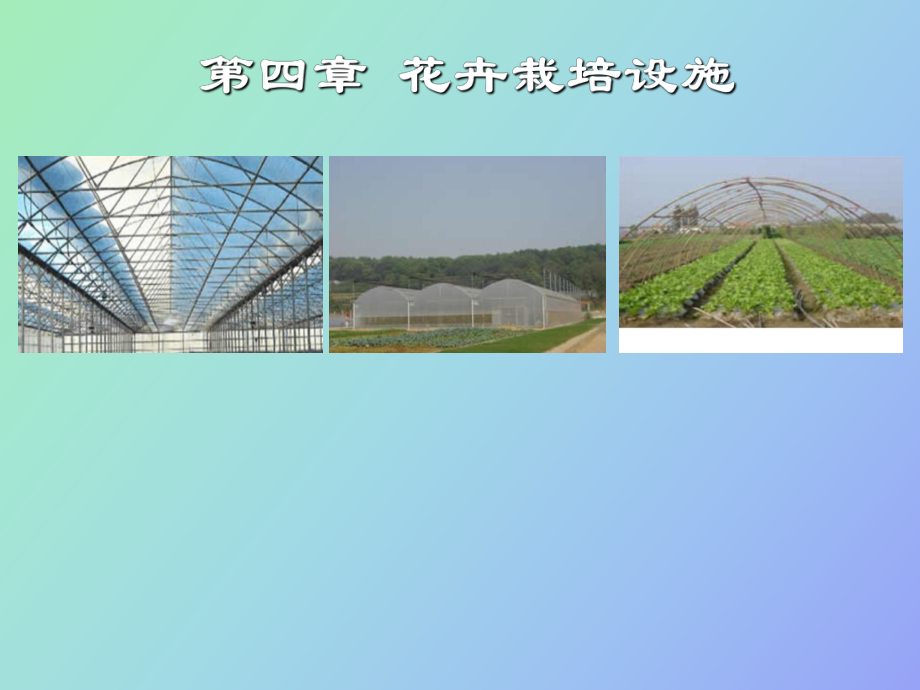 花卉基礎設施_第1頁