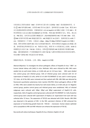 乙型肝炎病毒對腎小管上皮細(xì)胞直接作用的實(shí)驗(yàn)研究