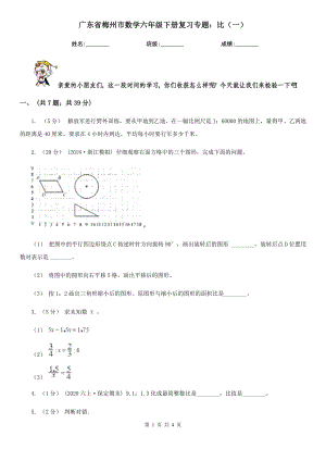 广东省梅州市数学六年级下册复习专题：比（一）