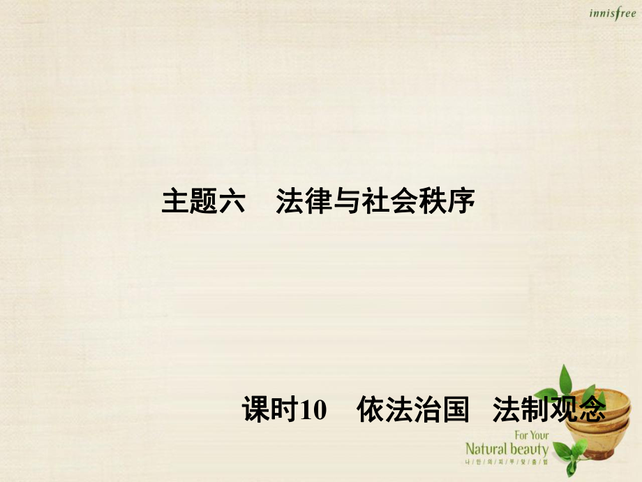 主題六 法律與社會秩序 課時10 依法治國 法制觀念_第1頁