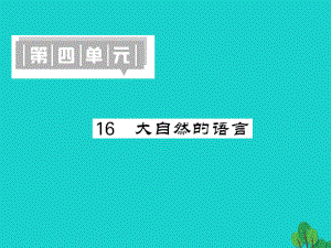 八年級語文上冊 第四單元 第16課《大自然的語言》 新人教版