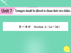 九年级英语全册 Unit 7 Teenagers should be allowed to choose their own clothes（第1课时） （新版）人教新目标版