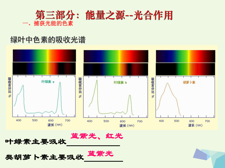 高考生物 細(xì)胞代謝專題 第三部分 能量之源--光合作用_第1頁