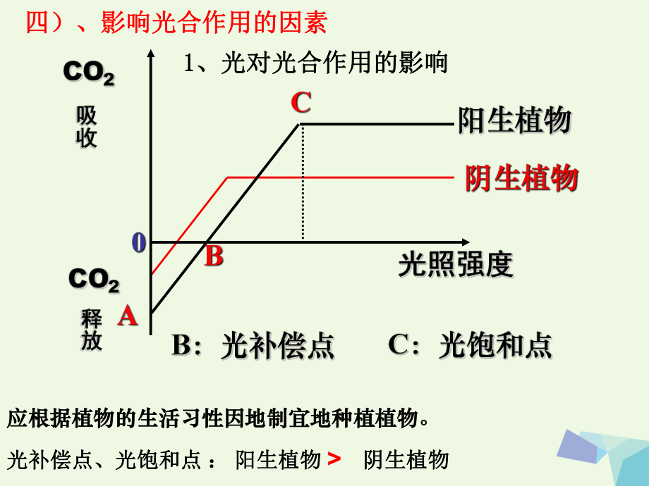 高考生物 細胞代謝專題 第四部分 影響光合作用的因素_第1頁