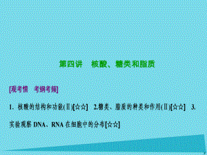 高考生物 第一單元 細(xì)胞及其分子組成 第四講 核酸、糖類和脂質(zhì) 新人教版