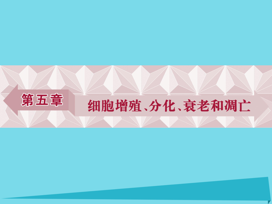 高中生物 第五章 細胞增殖、分化、衰老和凋亡 第一節(jié) 細胞增殖（第1課時）細胞大小與細胞生命活動 細胞周期與有絲分裂 蘇教版必修1_第1頁