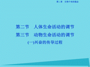 高中生物 第二章 生物個體的穩(wěn)態(tài) 第二、三節(jié) 人體生命活動的調(diào)節(jié)、動物生命活動的調(diào)節(jié)（一）興奮的傳導(dǎo)過程 蘇教版必修3