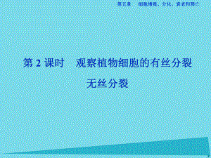 高中生物 第五章 細(xì)胞增殖、分化、衰老和凋亡 第一節(jié) 細(xì)胞增殖（第2課時(shí)）觀察植物細(xì)胞的有絲分裂 無(wú)絲分裂 蘇教版必修1