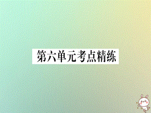 八年級(jí)歷史上冊(cè) 第六單元 考點(diǎn)精練 新人教版