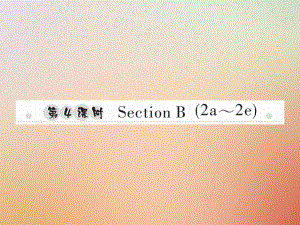 八年級英語上冊 Unit 1 Where did you go on vacation（第4課時）Section B（2a-2e）習題 （新版）人教新目標版