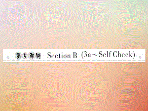 八年級英語上冊 Unit 2 How often do you exercise（第5課時）Section B（3a-Self Check）習(xí)題 （新版）人教新目標(biāo)版