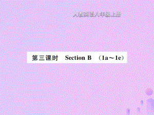 八年級(jí)英語(yǔ)上冊(cè) Unit 2 How often do you exercise（第3課時(shí)）Section B習(xí)題 （新版）人教新目標(biāo)版