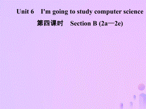 八年級(jí)英語(yǔ)上冊(cè) Unit 6 I’m going to study computer science（第4課時(shí)）Section B（2a-2e）導(dǎo)學(xué) （新版）人教新目標(biāo)版