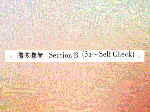 八年級(jí)英語(yǔ)上冊(cè) Unit 1 Where did you go on vacation（第5課時(shí)）Section B（3a-Self Check）習(xí)題 （新版）人教新目標(biāo)版