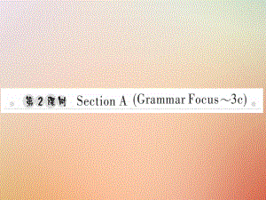 八年級英語上冊 Unit 1 Where did you go on vacation（第2課時）Section A（Grammar Focus-3c）習(xí)題 （新版）人教新目標(biāo)版